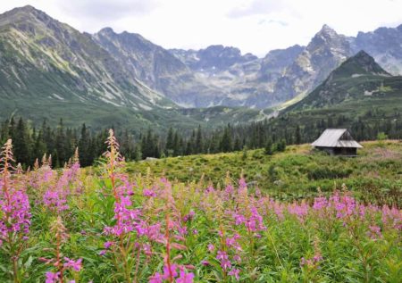 D'vark Mountains