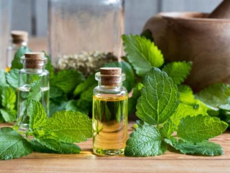 Lemon Balm Scent