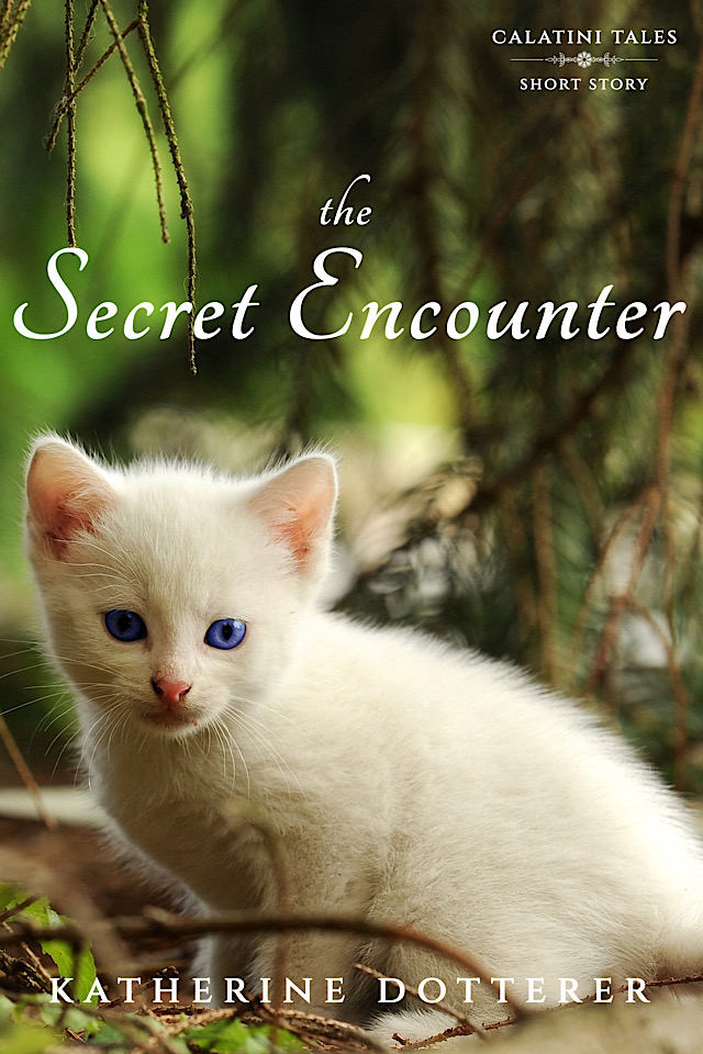 The Secret Encounter